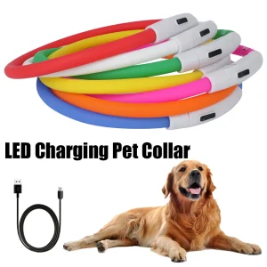 LED USB Rechargeable Glow Dog Collar – Night Safety Flashing Luminous Pet Collar